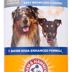 Dogs Dental Care Product Arm and hammer